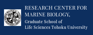 Research Center for Marine Biology,Graduate School of
				Life Sciences Tohoku University