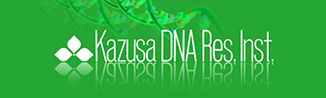 KAZUSA DNA Res, Inst,